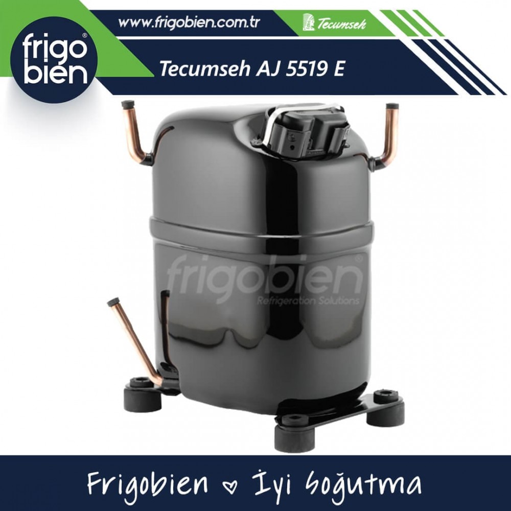AJ 5519 E Tecumseh Kompresör